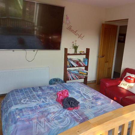 Apartmán No 9 Manor Way Carmarthen Exteriér fotografie